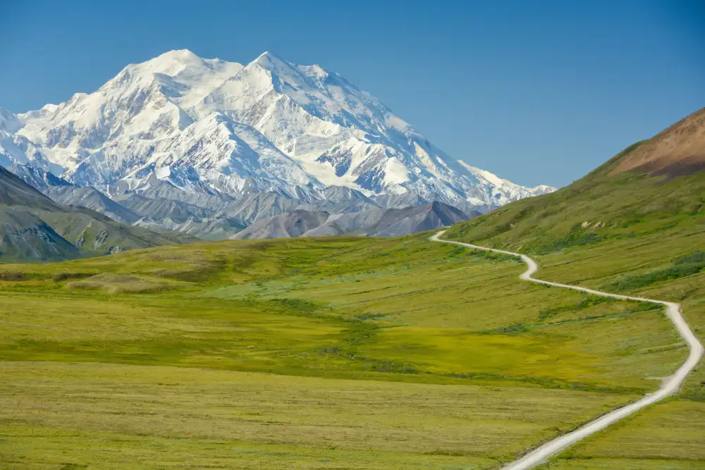 denali national park